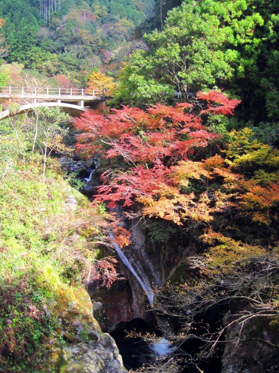 Nature Resort In Niyodo Niyodogawa 외부 사진
